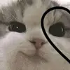 Abel jacob Evangelista lopez - @abel.jacob.evange1 - TikTok