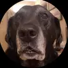 Abeljacobbb - @abeljacobbb - TikTok
