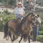 Nestor Abel Jiménez Vélez - Facebook