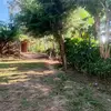 Abel Lopez - @abel.lopez0125 - TikTok