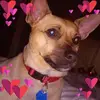 Abel Martin - @abelmartin27 - TikTok