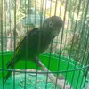 Abel Mata - @abel.mata7 - TikTok