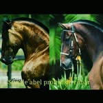 abel mauricio - @abel.m.buitrago - Instagram