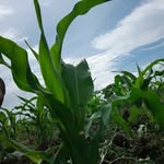 Abel Bulugu Mayenga - @abelbulugumayenga - Instagram