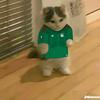 Abel Mayo - @abel.mayo0 - TikTok