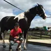 Abel Mayorga - @abelmayorga12 - TikTok
