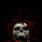 Abel Mcgrath - Facebook