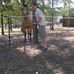 Abel McGuire - Facebook