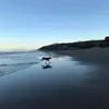 Annabelmclean - @annabelmclean - TikTok