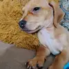 Abel Medrano - @abel.medrano54 - TikTok