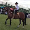 Abel Mello - @abelmello0 - TikTok