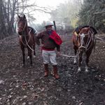 Abel Mena - @abel.mena.161 - Instagram