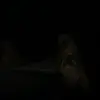 Isabelamendivilgrc - @isabella.mendivil - TikTok