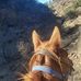 Meraz Abel - Facebook