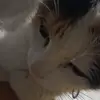 abelmeri - @abelelibeltonmeri - TikTok