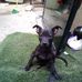 Abel Meza - Facebook