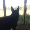 ERIK ABEL MILIAN MILIAN GAMARR - @abelmilian7 - TikTok