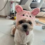 Abel miller - @abelmiller63 - Instagram