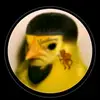 Abel Mireles 💯💯💯 - @abel.mireles4 - TikTok
