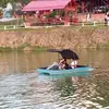 Abel Cardenas Molano - @abel.cardenas.mol - TikTok