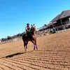 Abel Monrroy - @marmon251 - TikTok