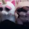 annabelmontgomery100 - @annabelmontgomery - TikTok