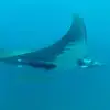 Abel Morais - @abel.morais44 - TikTok