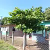 Pedro - @abelmoran438 - TikTok