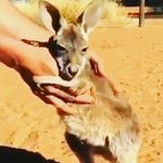 @abel_morin_ - Instagram