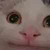 Abel Morrison - @abel.morrison7 - TikTok