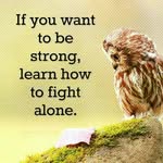 abelmosses - @abelmosses - Instagram