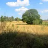 abelmoura11 - @abelmoura11 - TikTok