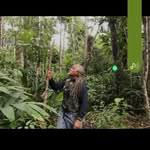 Abel Nascimento - @abelnaturezabrasil - Instagram