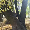 nataliiabel - @nataliiabel - TikTok
