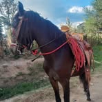 Abel Natareno - Facebook