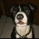 Abel Neira - @abel.neira.129 - Instagram