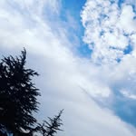Abel Nicholson - @nicholsoonabel - Instagram
