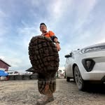 Abel Nobel - @abeltingai - Instagram