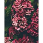 Abel Nora - @abelnora533 - Instagram