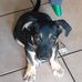 Abel Orbeck - Facebook