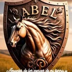 Abel Olmos Herrera - @olmosabel96 - Instagram