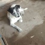 hector abel pelayo - @pelayohectorabel - Instagram