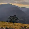 Abel regalado - @abelregalado2 - TikTok