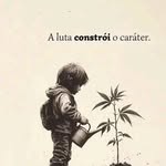 Abel Ribeiro - @abel_rib - Instagram