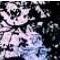 Abel Richardson Hebek - Facebook