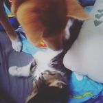 abel & rico - @forest_soulss - Instagram