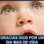 abel rincon - @abelrincon03a - Instagram