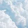 Abel Roa - @abel.roa_ - TikTok