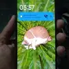 Robinson Abel - @robinson.abel - TikTok