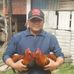 Abel Roblero Borrallas - Facebook